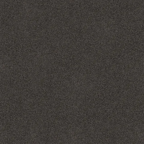 Fieldstone carpet swatch